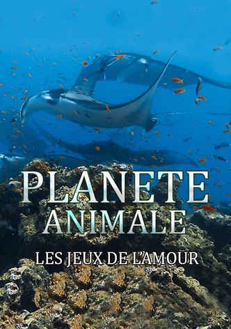 Planète Animale : Les jeux de l'amour