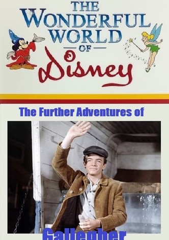 The Further Adventures of Gallegher