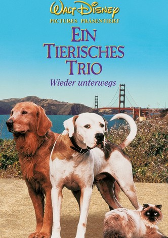 Ein tierisches Trio - Wieder unterwegs