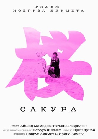 Sakura