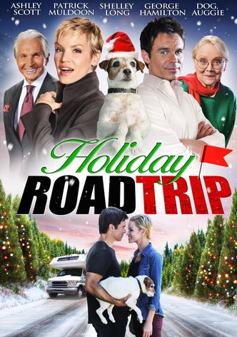 https://images.justwatch.com/poster/263557116/s332/holiday-road-trip