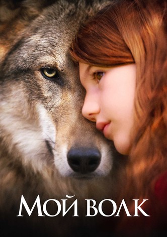 Мой волк