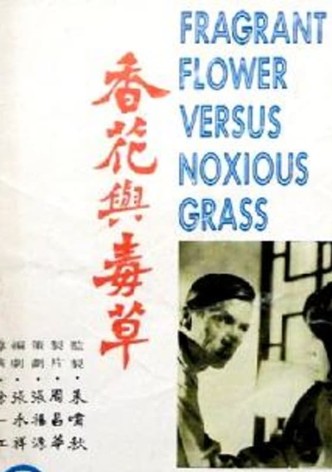 Fragrant Flower Versus Noxious
