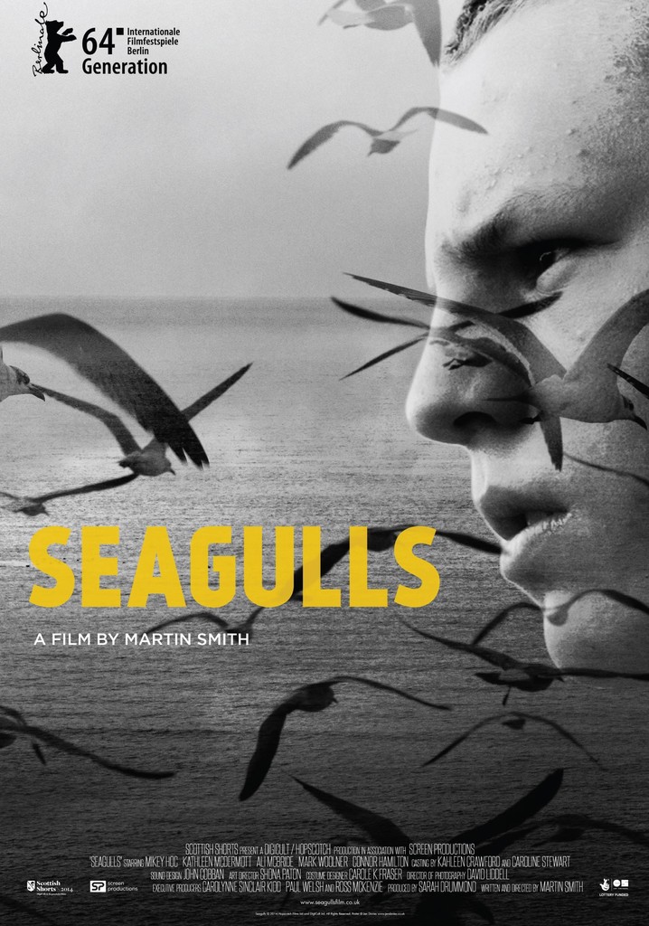 Seagulls