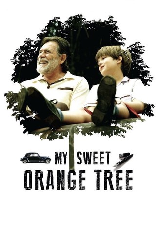 My Sweet Orange Tree