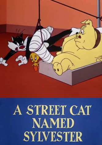 A Street Cat Named Sylvester