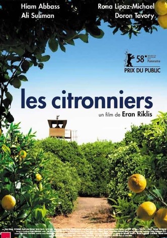 Les citronniers