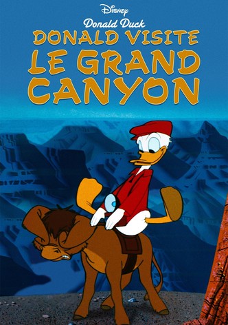 Donald visite le Grand Canyon