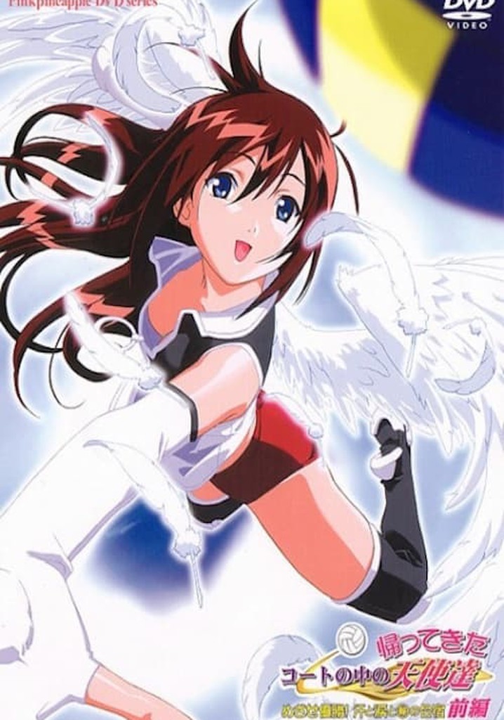 Angels in the Court 2