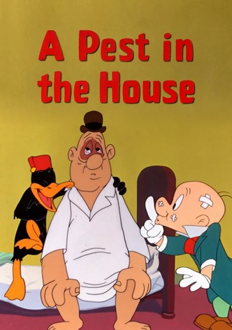 A Pest in the House