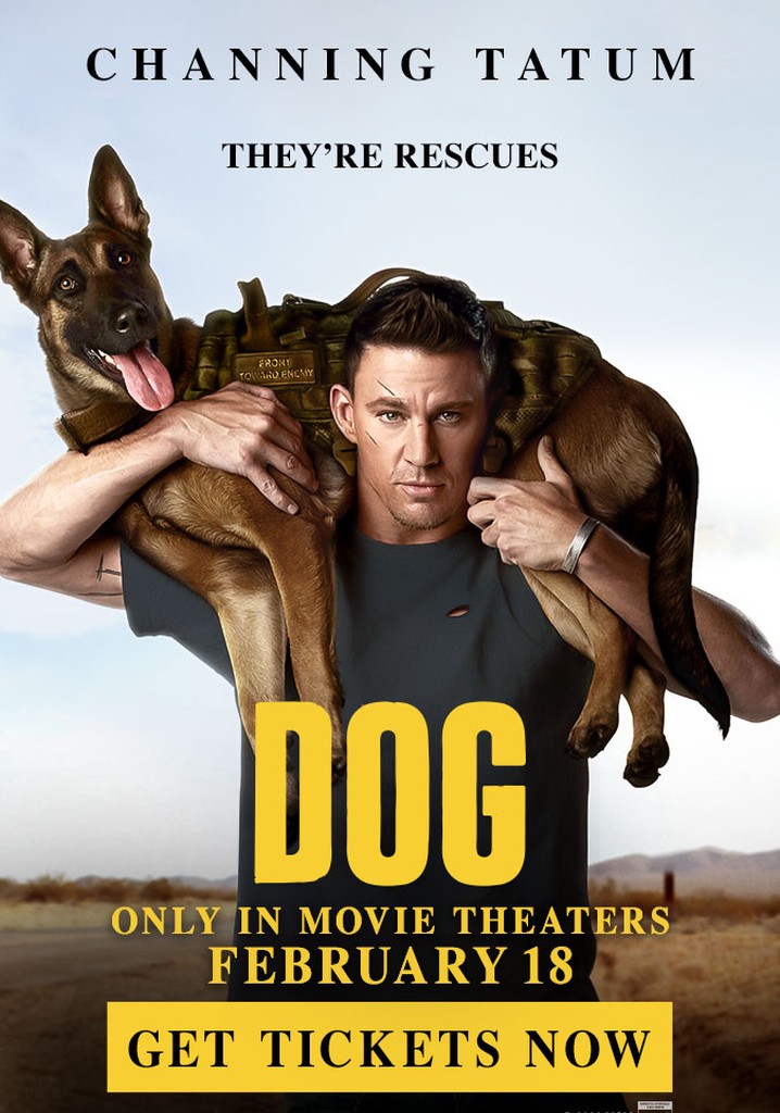 Dog streaming: where to watch movie online?