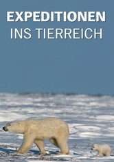 Expeditionen ins Tierreich - Expeditionen ins Tierreich, Staffel 11
