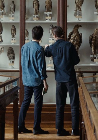 Language of Birds