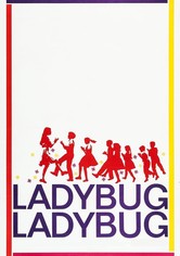 Ladybug Ladybug