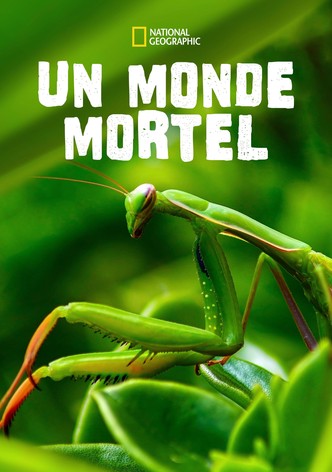 Un monde mortel