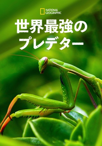動物たちの7つの大罪「罪深き者たち」