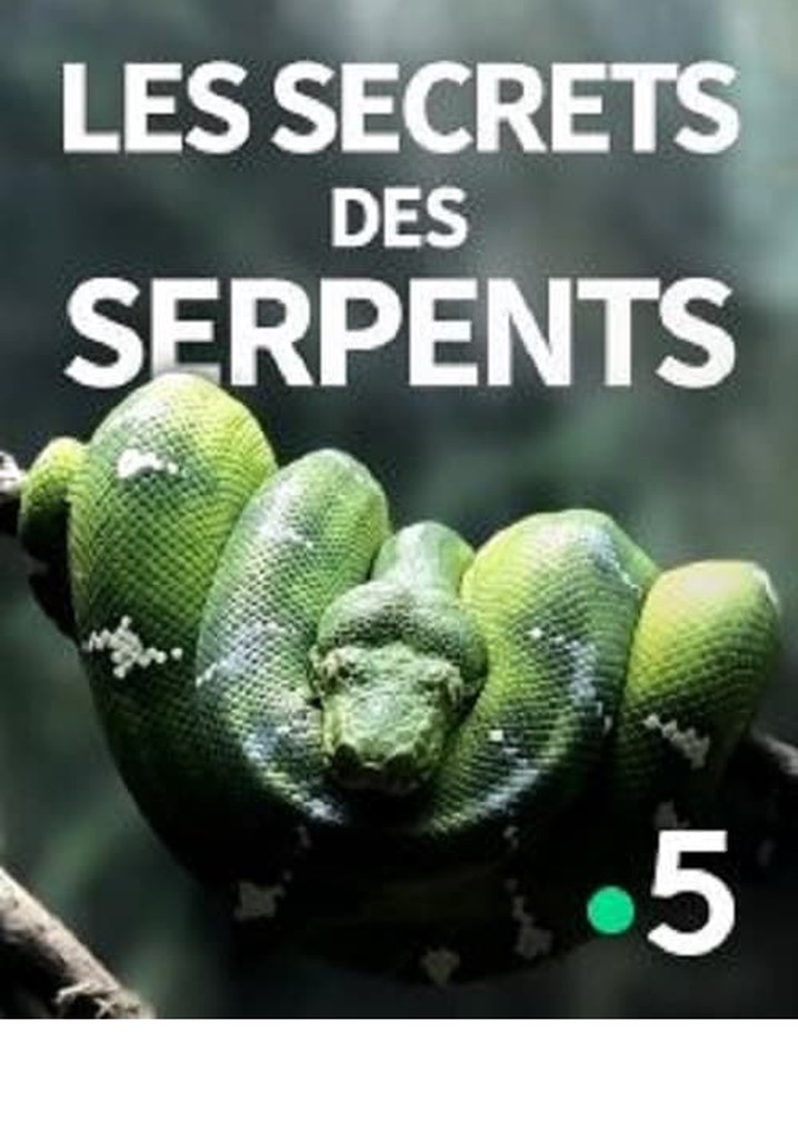 The Secrets of the Snakes