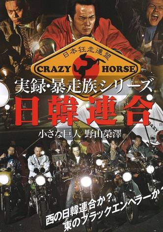 実録・暴走族シリーズ 日韓連合 小さな巨人 野山榮澤