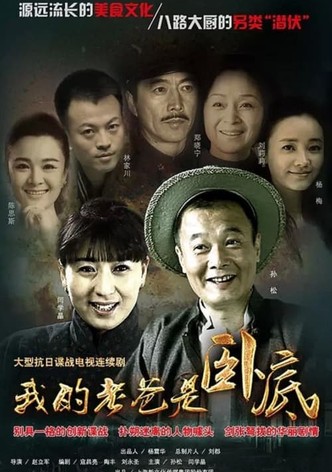 我的老爸是卧底