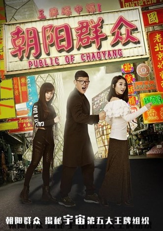 Police of Chaoyang