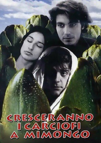 Cresceranno i carciofi a Mimongo