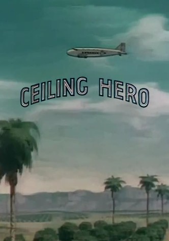 Ceiling Hero
