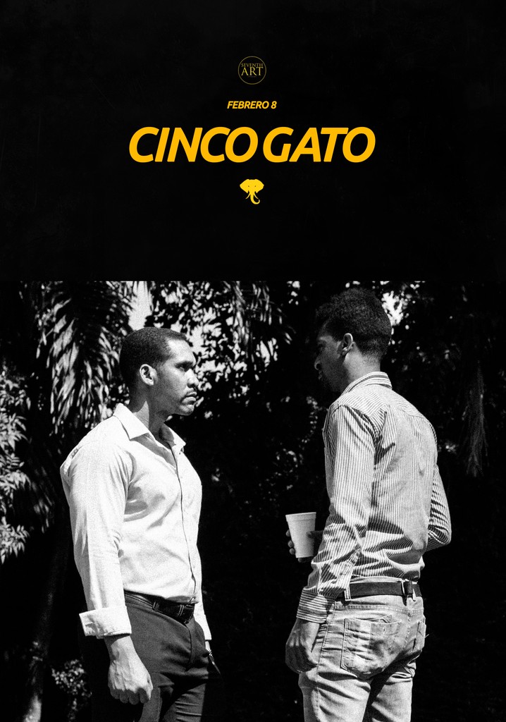 Cinco Gato