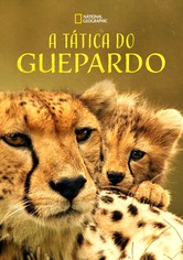 A Tática do Guepardo