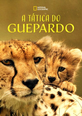 The Way of the Cheetah