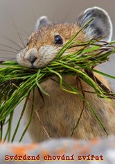 Natural Born Rebels: Ribelli per natura