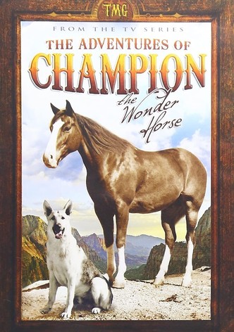 The Adventures of Champion