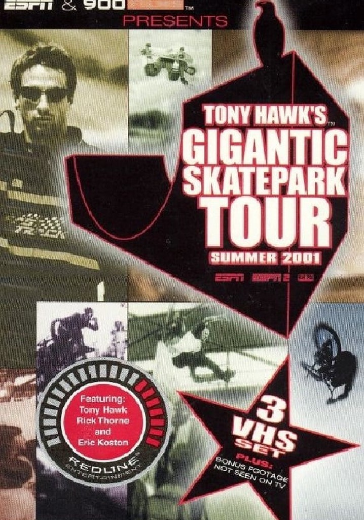 Tony Hawk's Gigantic Skatepark Tour 2001