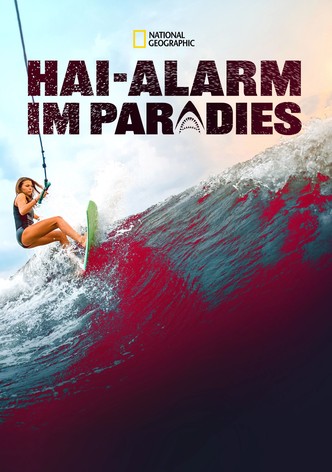 Hai-Alarm im Paradies