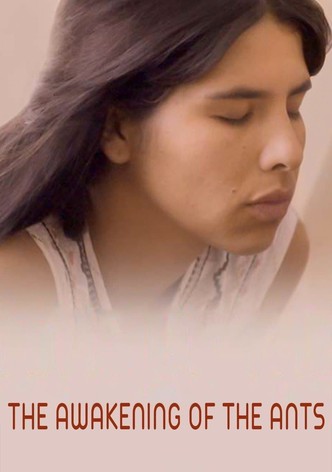 El despertar de las hormigas