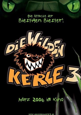 Die Wilden Kerle 3