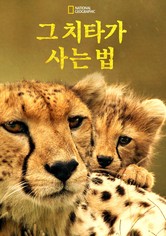 그 치타가 사는 법