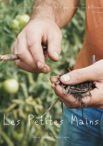Les petites mains