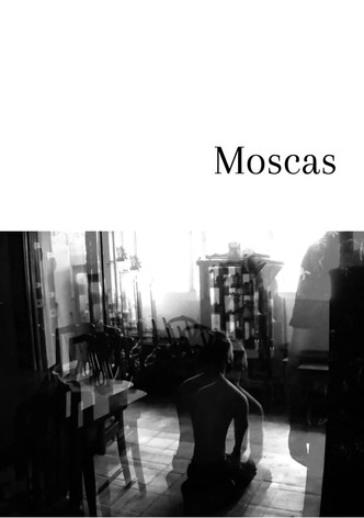 Moscas