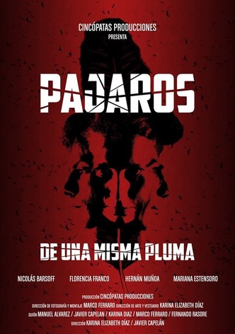 Pájaros de una misma pluma
