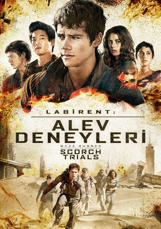 Labirent: Alev Deneyleri