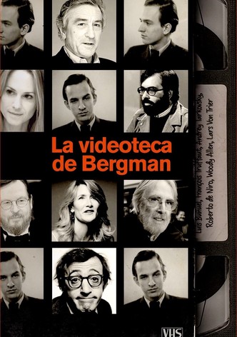 Bergmans video