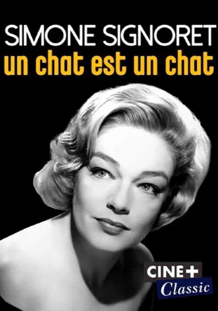 Simone Signoret, un chat est un chat