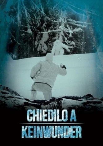 Chiedilo a Keinwunder