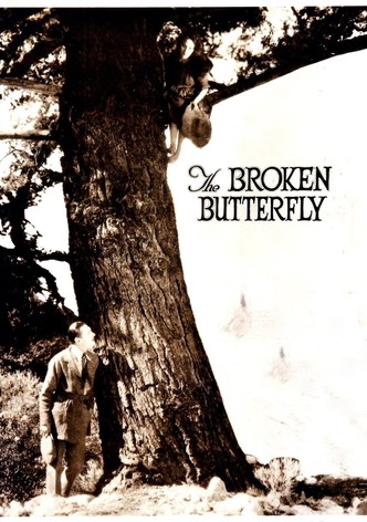The Broken Butterfly