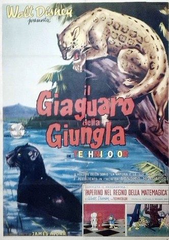 Il giaguaro della giungla