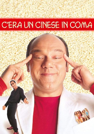 C'era un cinese in coma