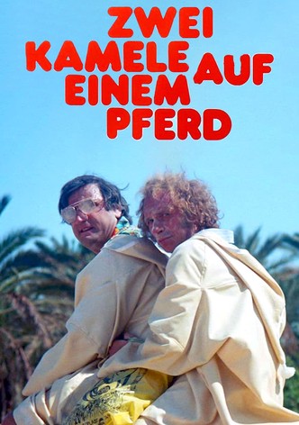 Zwei Kamele auf einem Pferd