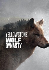 Die Wölfe des Yellowstone