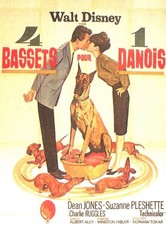 4 bassets pour un danois
