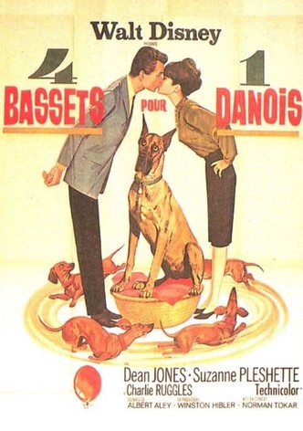 4 bassets pour un danois